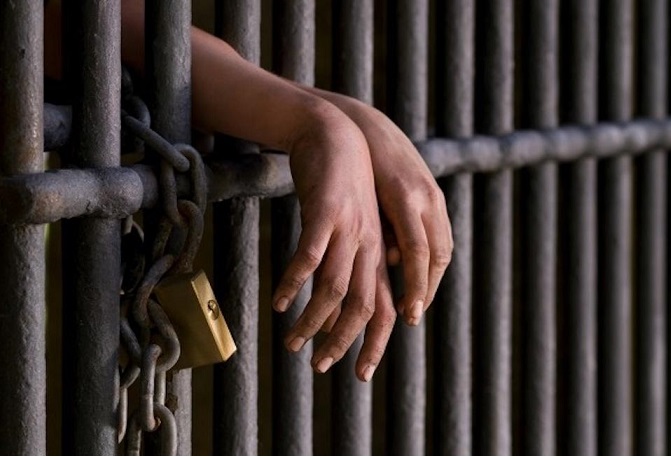 53463902 b2f5 405e 88c4 6d3e6030430e