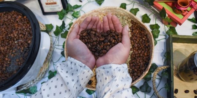 Bio Ruta del Cafe Sierra Norte Puebla2