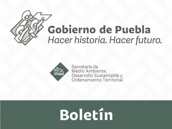 Boletin