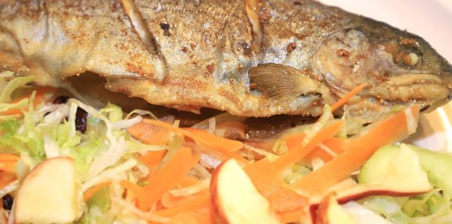 FERIA DEL PINO Y TRUCHA TLAHUAPAN 2024