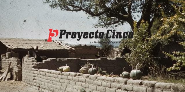 Gemini adobe casas calabaza patio arbol