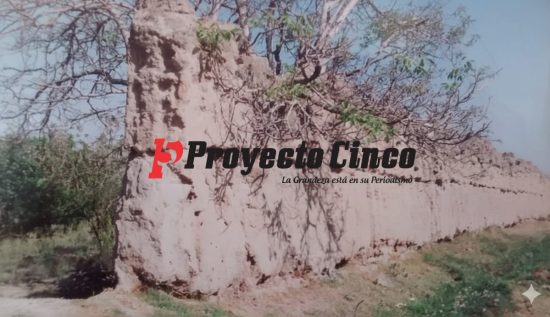 Los meses propicios para hacer adobes son los tres primeros meses del año, que es cuando no llueve y en esos meses no se amoyota, esto es, que no cría moyotes