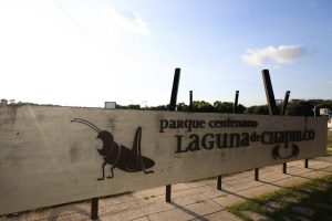 Grandes parques Chapulco