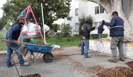 MANTENIMIENTO AREAS VERDE PUEBLA2