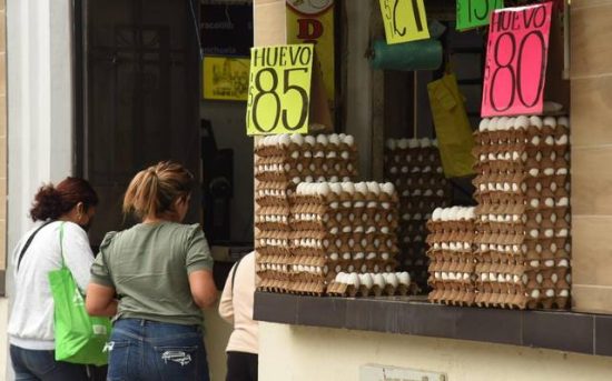 Estadounidenses acuden a México para comprar huevos al estar más barato 4 PRECIO DE HUEVO EN REYNOSA TAMAULIPAS
