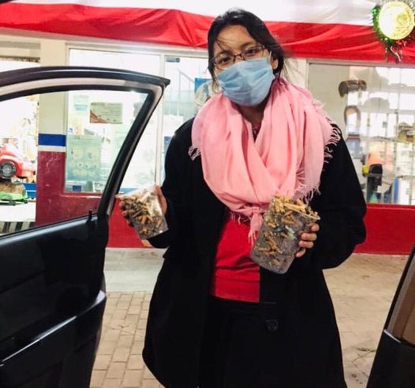 Toktli Educacion Ambiental 2