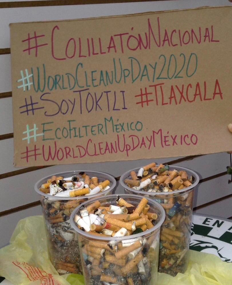 Toktli Educacion Ambiental