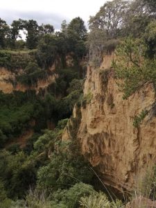 Barranca del Potrero, formaciones geológicas que están ahí desde hace millones de años.