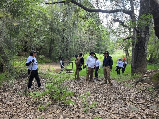 De 2016 a la fecha, al menos 63 personas defensoras, periodistas y colaboradores de medios han sido desaparecidas en posible relación con su labor