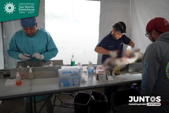 Durante la Jornada Medica en San Martín Texmelucan se instaló un módulo del Instituto de Bienestar Animal del Estado