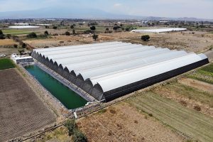 campo tecnificacion puebla sdr
