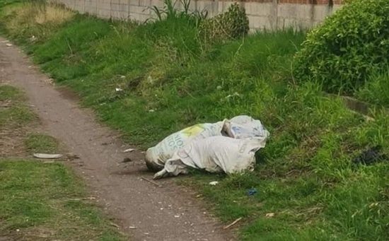 Reportaron el hallazgo de dos costales con perros sin vida en inmediaciones del panteón de la comunidad de Santa María Moyotzingo del municipio de San Martín Texmelucan
