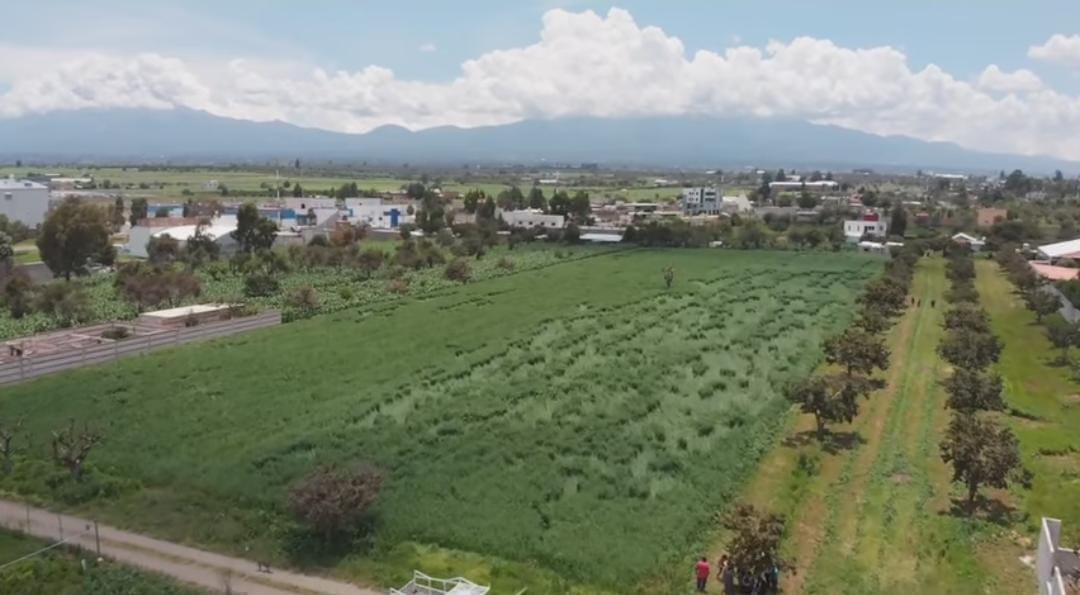cultivo senales extraterrestres huejotzingo socavon