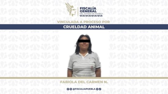detenida por agredir a cachorro huejotzingo xalmimilulco