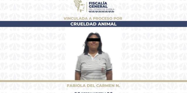 detenida por agredir a cachorro huejotzingo xalmimilulco