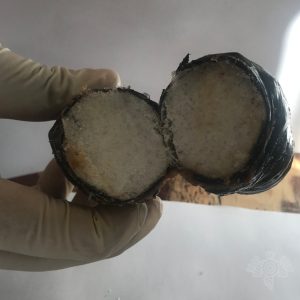 droga penales policia estatal ssp