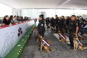 elementos municipales evento estado