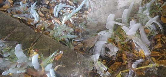 helada texmelucan campo