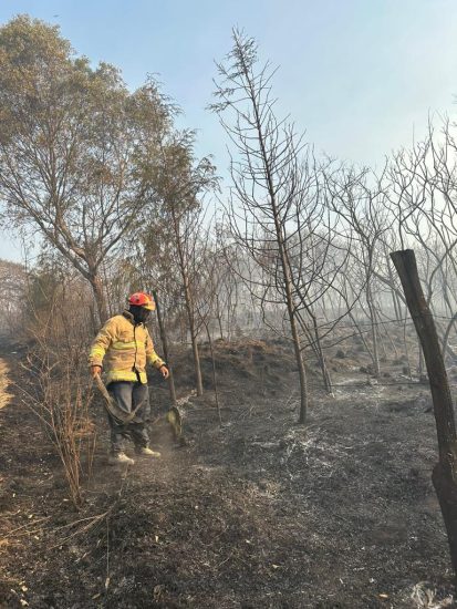 incendio bomberos texmelucan cerro totolquemetl