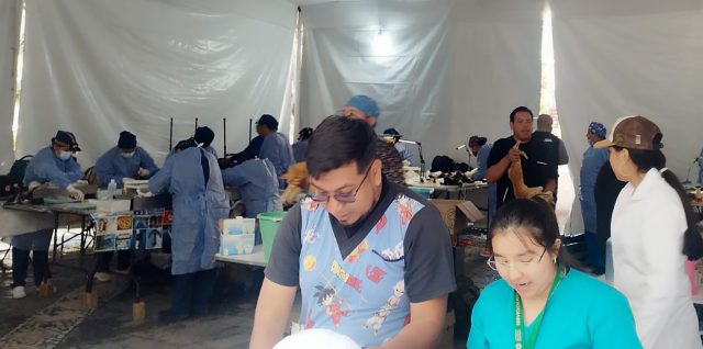 jornada esterilizacion cania san martin texmelucan