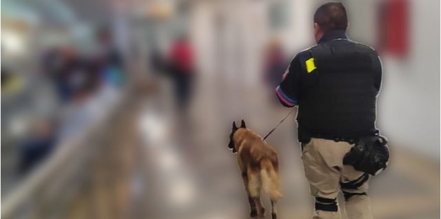 k9 policia Puebla