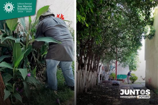 limpieza parques y jardines de San Martin Texmelucan