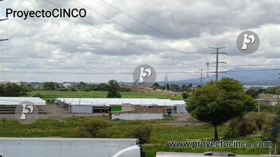 El Mercado de Las Flores, asentado en el municipio de Huejotzingo, visto desde la autopista México-Puebla
