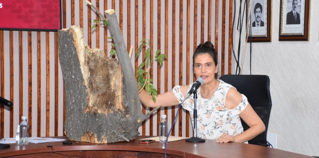 migoya plaga arboles texmelucan secretaria