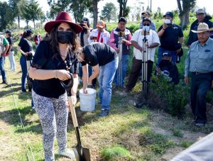 norma layon reforestacion ejido texmelucan