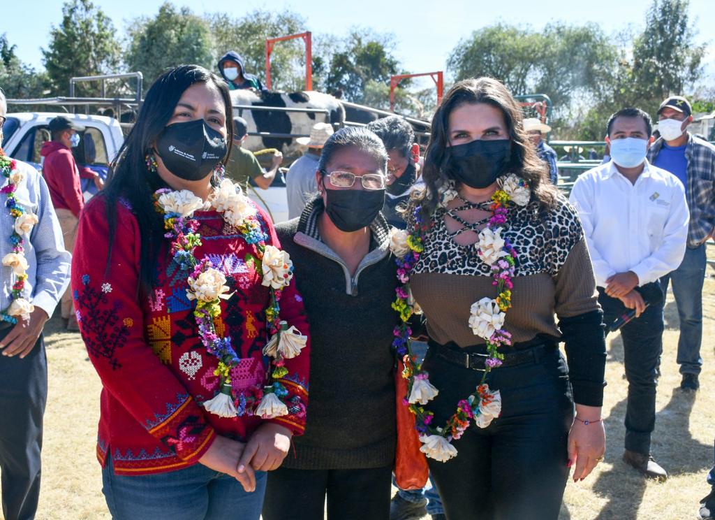 norma layon texmelucan sdr maiz