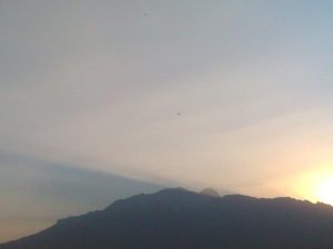 ovni san martin temelucan 5