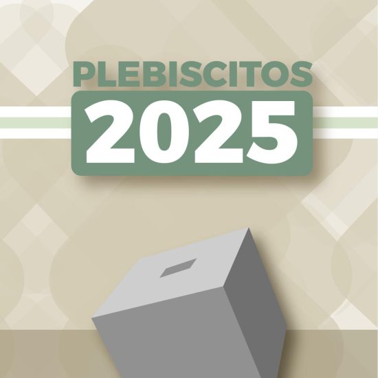 plebiscitos 2025 san martin texmelucan