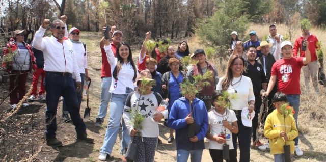 pri puebla san martin texmelucan tecaltzingo cerro citlalic