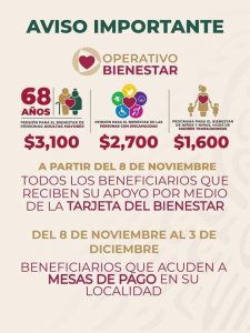 publiciad bienestar pago noviembre 2021