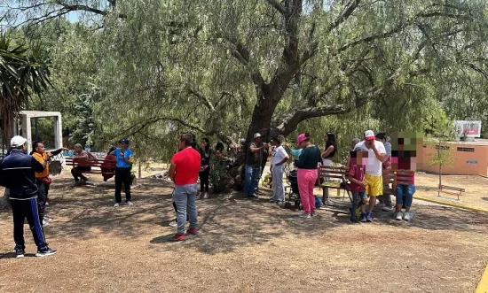 quema de arboles angeles blanco
