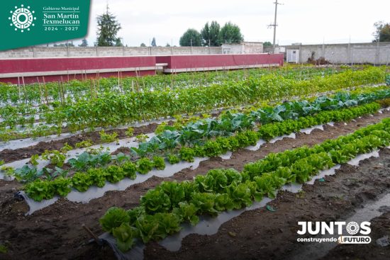 rastro municipa huerto san martin texmelucan sustentable