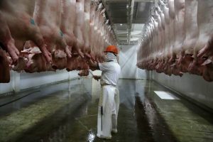 Trabajadores del Rastro Municipal de Puebla, votaron a favor del Sindicato Único de Trabajadores de la Industria de la Carne