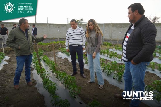 rastro municipal huerto san martin texmelucan sustentable juan manuel alonso dif