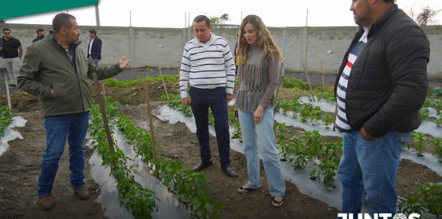 rastro municipal huerto san martin texmelucan sustentable juan manuel alonso dif