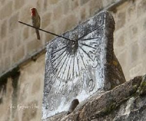 Los 4 relojes que no respetan los cambios de horario en la región de Texmelucan 2 reloj solar