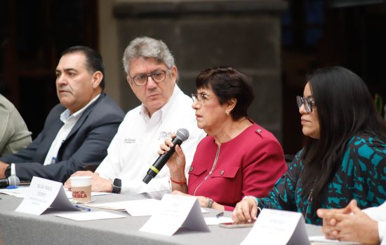 revista vehicular puebla 2025